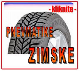 zimske pnevmatike